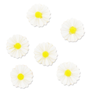 Cabochon daisy 13mm whitex10