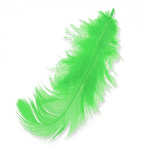 Feathers 8 to 12 cm Aniseed green x3gr