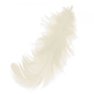 Feathers 8 à 12 cm Cream x3gr