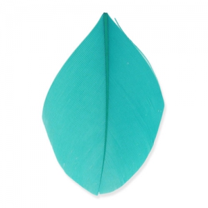 Feathers 6 cm Green Turquoise x3gr