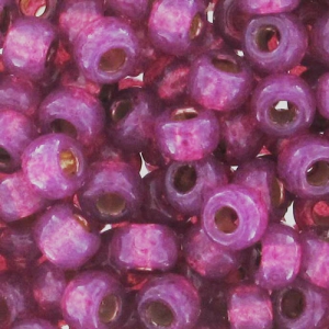 Rocaille Miyuki Duracoat 8/0 4247 - Dyed Peony Pink Silverline x8g