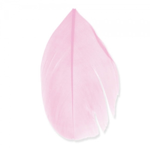 Feathers 6 cm Pink x3gr