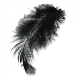 Feathers 8 à 12 cm Black x3gr