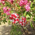 MOP printed Puck-shaped bead 20mm Fuchsia Roses x1