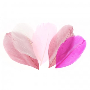 Feathers assortment 6cm Camaieu pink x10gr