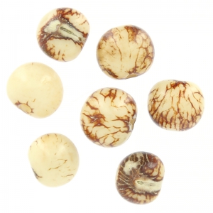 Acai seeds from Brazil 8mm Natural Marbled x 10