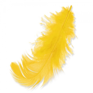 Feathers 8 to 12 cm Yellow x3gr