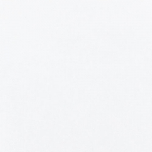 Silk Paper 50x70cm white x5 sheets