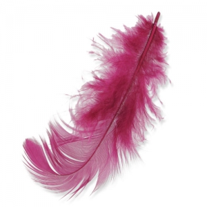 Feathers 8 à 12 cm Dark Fuschia x3gr