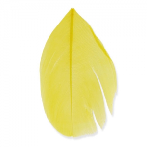 Feathers 6 cm Yellow x3gr