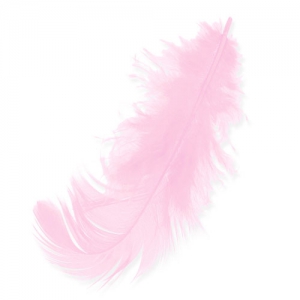 Feathers 8 à 12 cm Pink x3gr