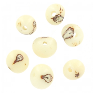 Acai seeds from Brazil 8mm Natural x 10