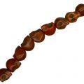 Bead Howlite dyed skull 13mm Maroon x1