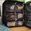 Seed beads & findings Organizer