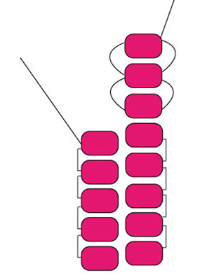 brick-stitch-augmentation_pac_01