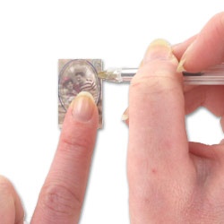 loupe_image_2 loupe_image_2