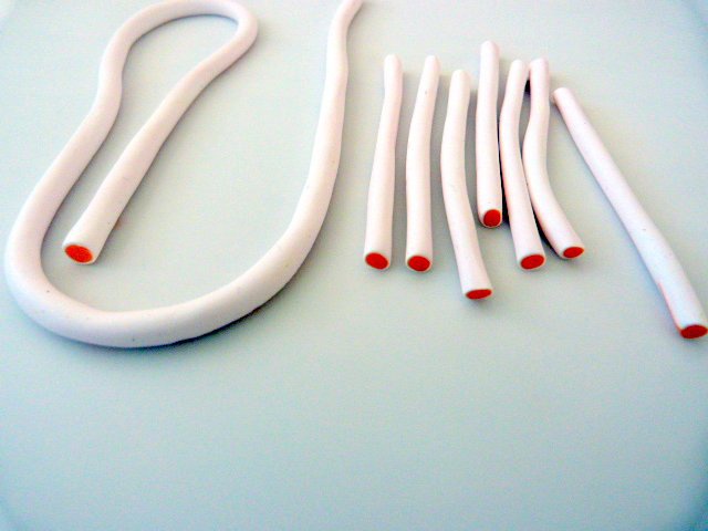 Citrus-duck pate-polymer-4_640 cane-agrumes-pate-polymere-4_640