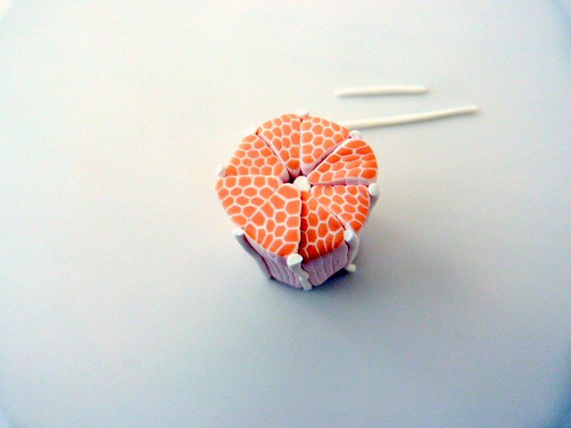 Citrus-duck pate-polymer-7_640 cane-agrumes-pate-polymere-7_640