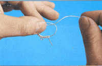 frivolite_d11 frivolite_d11