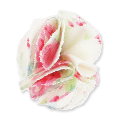 fleurs_miniatures_13 fleurs_miniatures_13