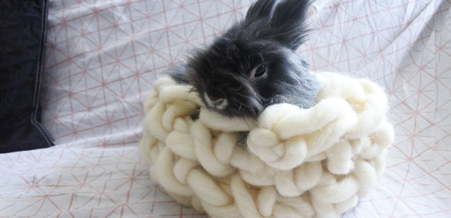 DIY Tutorial Knitting a basket for cat or rabbit with hands