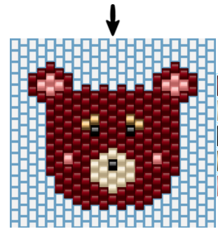 diagramme-ourson-ernest