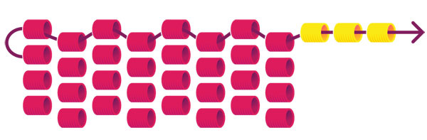 peyote_augmentation_01 peyote_augmentation_01