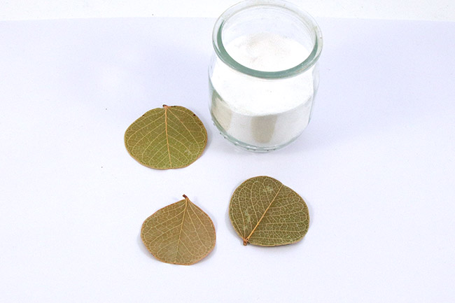 Glittery natural leaves : Step 1