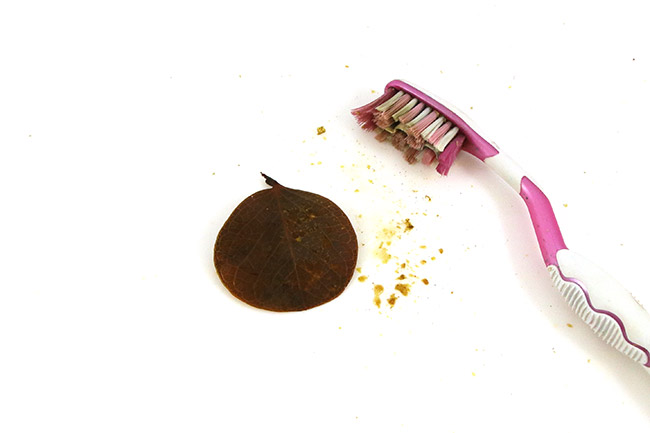 Glittery natural leaves : Step 2