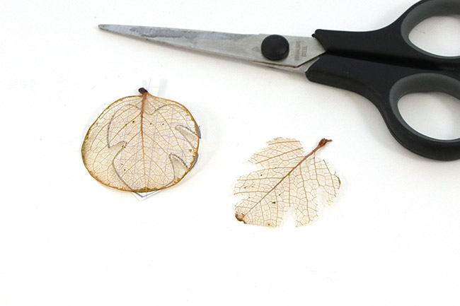 Glittery natural leaves : Step 3