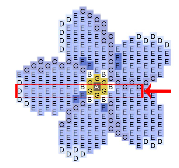 stage 1 bis free weaving grid myosotis miyuki delicas 11 0