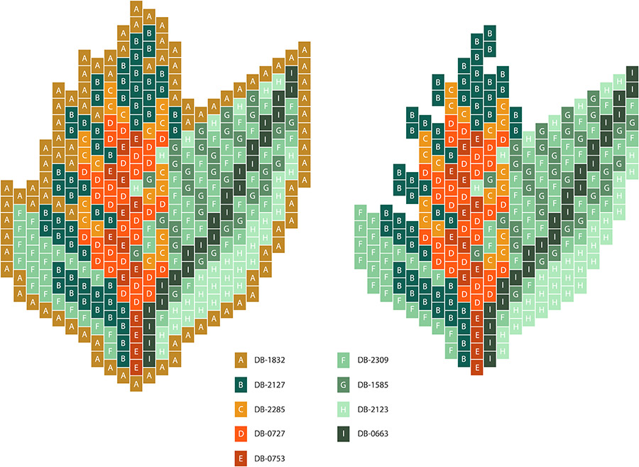Schema  Weaving Miyuki tropical plant in Brick Stitch