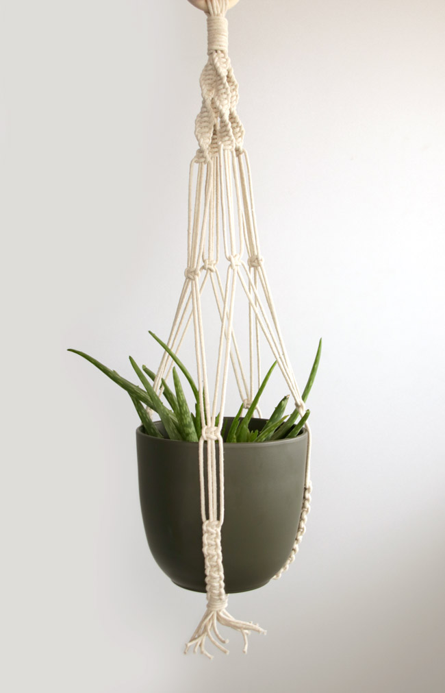 DIY Macrame rope pendant for plants pinterest