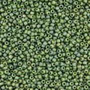 Toho Seed beads 11/0 TO11R2633F - Semi Glazed Rainbow Clover x8g