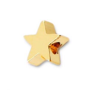Slider bead star 6x6 mm for 1 mm cord - Fine Gold plated x1