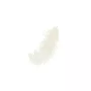Feathers 8 to 12 cm Cream x10gr