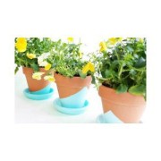 Acrylic paint - DecoCrème by Pébéo - Matt Greengold nr 35 x 120ml