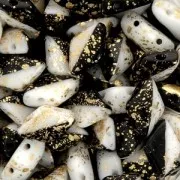 Czech Glass beads Gemduo 2 holes 8x5 mm Jet Opaque White Gold Splash x10g