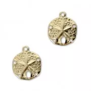 Sand dollar charms 5 holes - 11 mm Gold-filled  x2