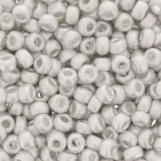 Miyuki Seed beads 11/0 961F - Mat Bright Sterling Silver Plated x5g