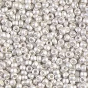 Miyuki Seed beads 8/0 961F - Mat Bright Sterling Silver Plated x5g