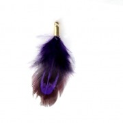 35 mm pheasant feather with a golden terminator - Purple/Black x1|raw }}