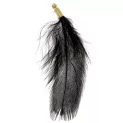 Striped pheasant feather with gold tip - 40 to 50 mm - Black with green highlights