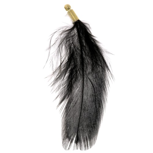 Striped pheasant feather with gold tip - 40 to 50 mm - Black with green highlights