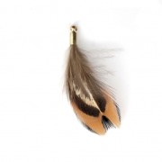 35 mm pheasant feather with a golden terminator - Brown/Black x1