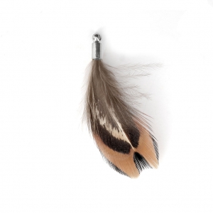 35 mm pheasant feather with a silver tone terminator - Brown/Black x1