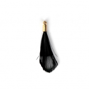 Tie and Dye pheasant feather with a golden terminator 25 mm - Black x1