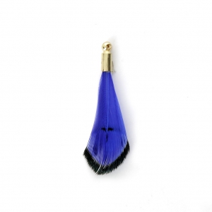 Tie and Dye pheasant feather with a golden terminator 25 mm - Blue/Black x1
