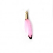 Tie and Dye pheasant feather with a golden terminator 25 mm - Pink/Black x1|raw }}