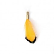 Tie and Dye pheasant feather with a golden terminator 25 mm - Yellow/black x1|raw }}